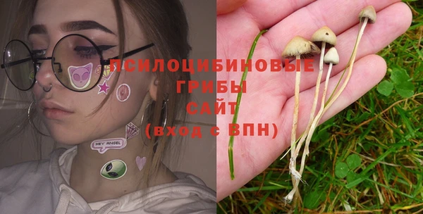 хмурый Новодвинск