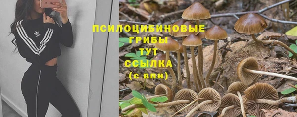 индика Гусиноозёрск