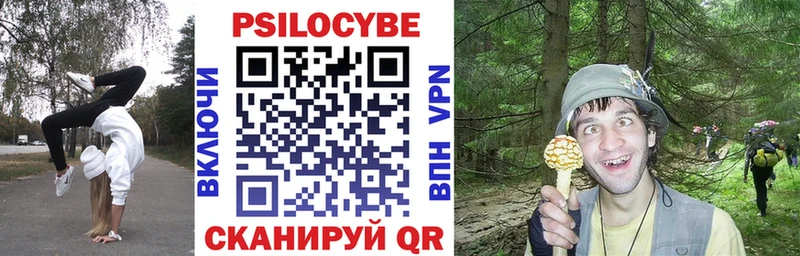 купить наркоту  Оленегорск  Галлюциногенные грибы Psilocybine cubensis 